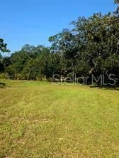 12070 NE 63rd Place, Williston, FL 32696 Photo