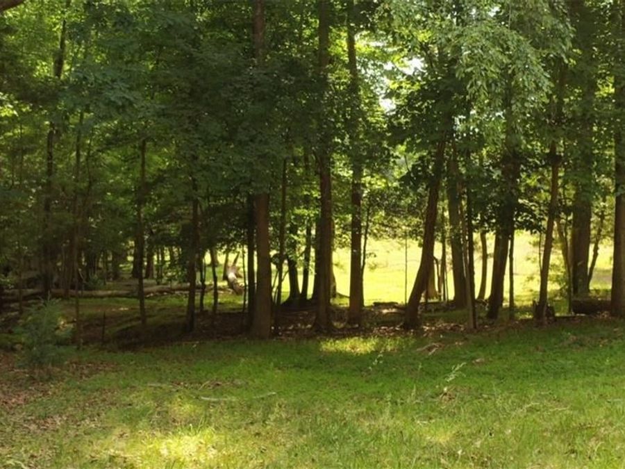 Property Image 38