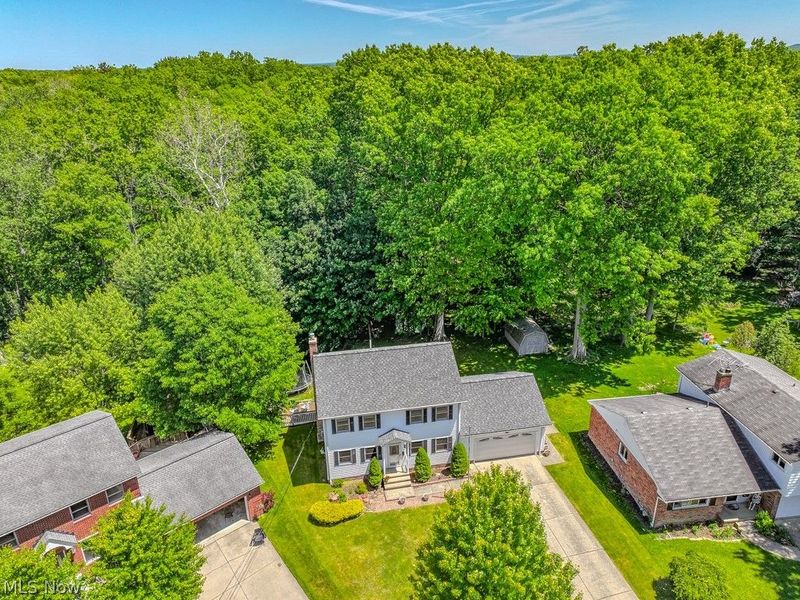 647 Robin Drive, Eastlake, OH 44095 Photo 46