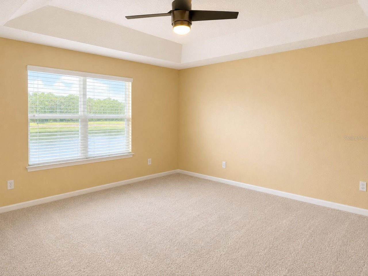 10708 Planer Picket Drive, Riverview, FL 33569 Photo