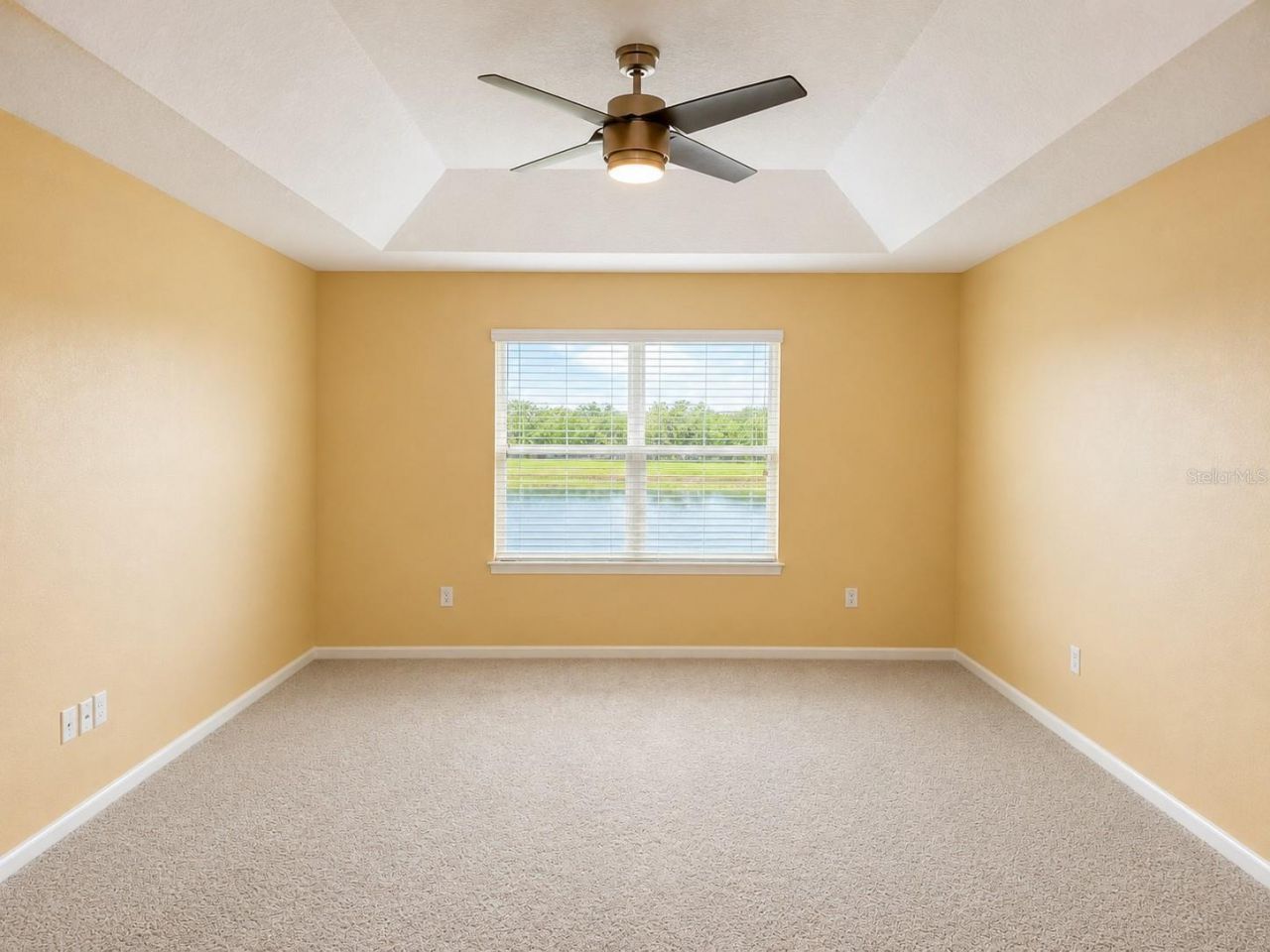 10708 Planer Picket Drive, Riverview, FL 33569 Photo