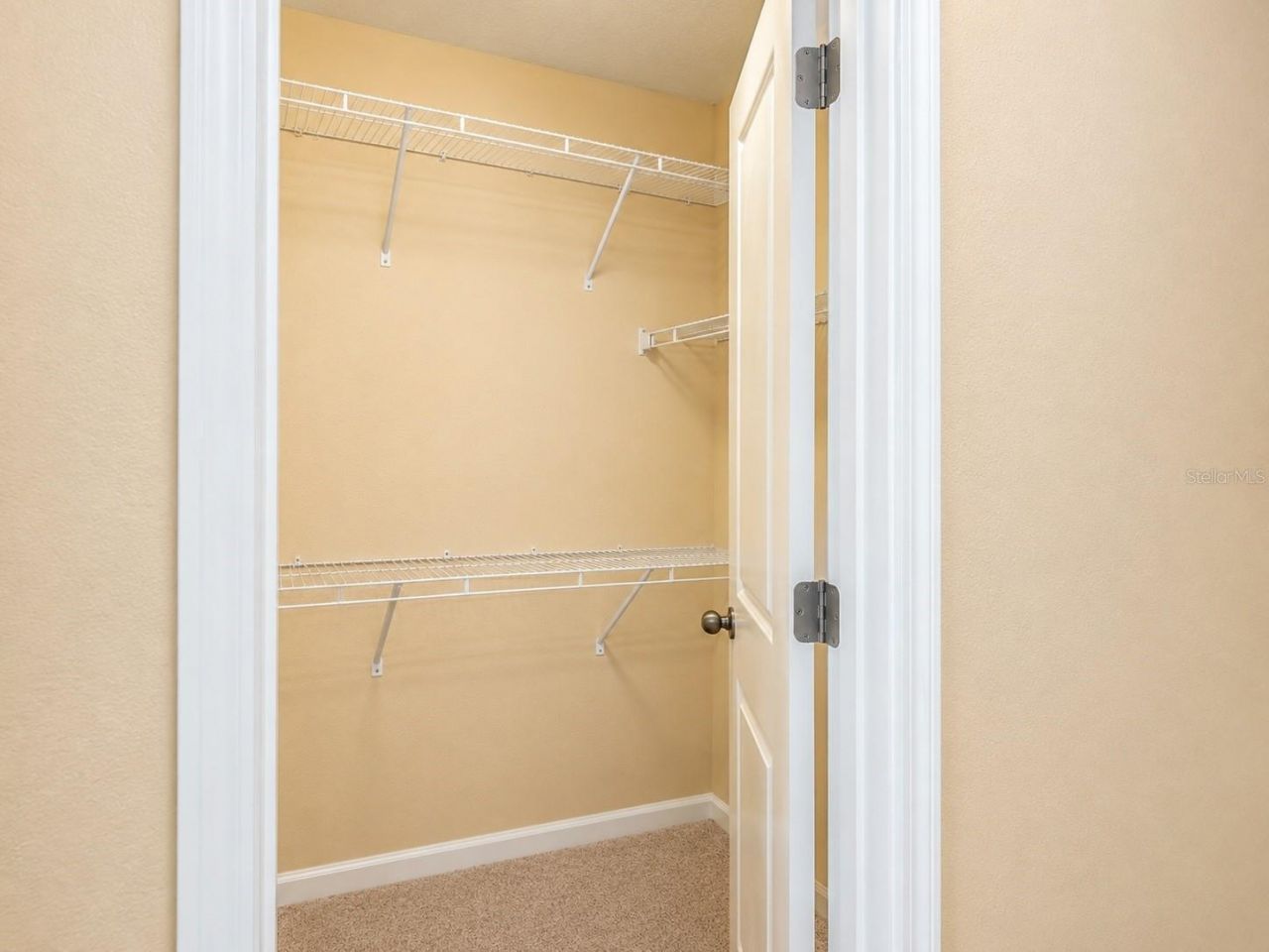 10708 Planer Picket Drive, Riverview, FL 33569 Photo