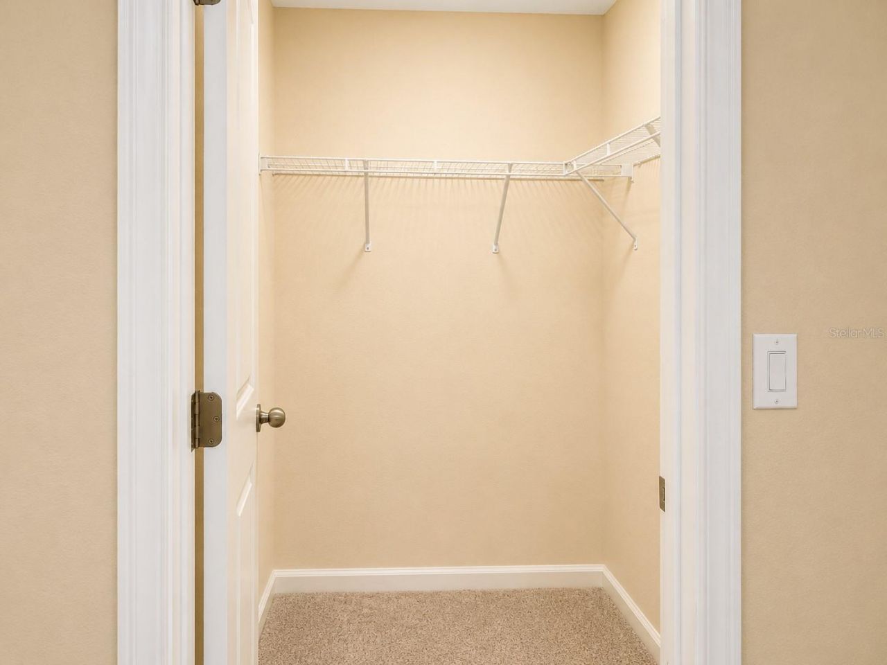 10708 Planer Picket Drive, Riverview, FL 33569 Photo