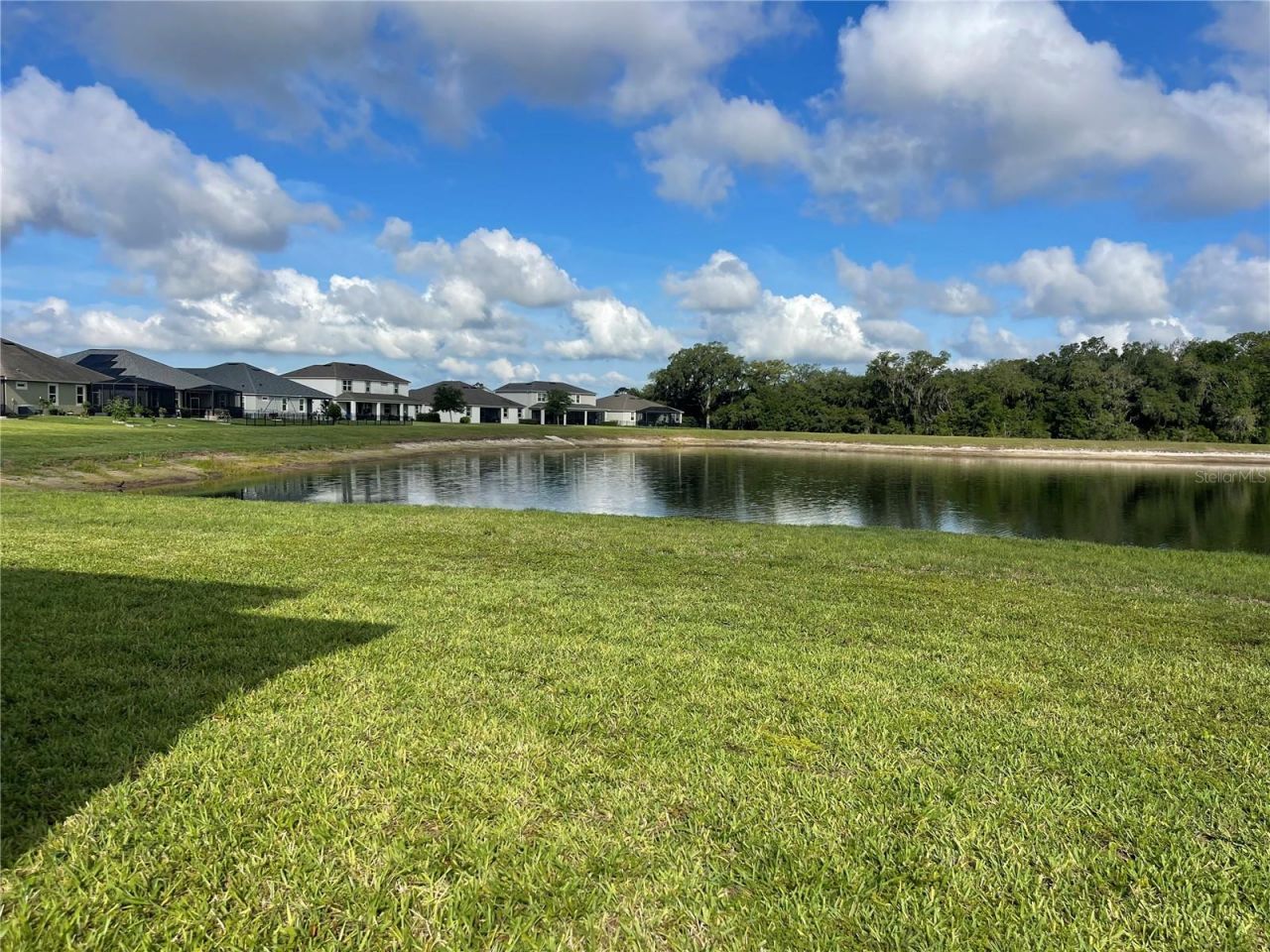 10708 Planer Picket Drive, Riverview, FL 33569 Photo