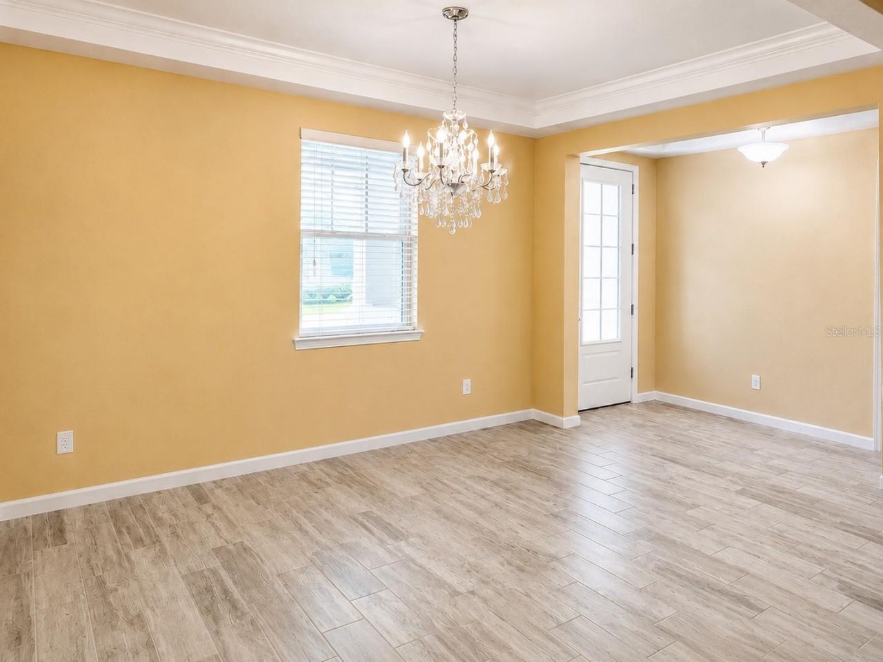 10708 Planer Picket Drive, Riverview, FL 33569 Photo