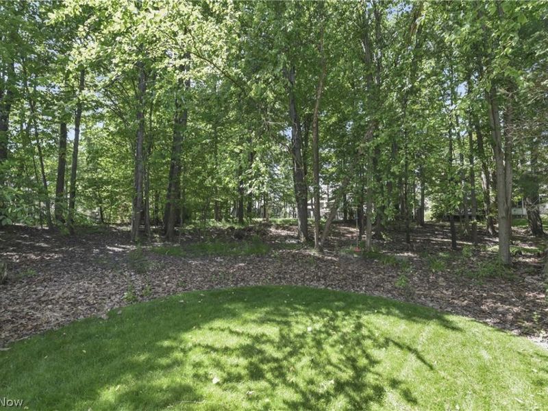 705 Lake Trail, Aurora, OH 44202 Photo 44