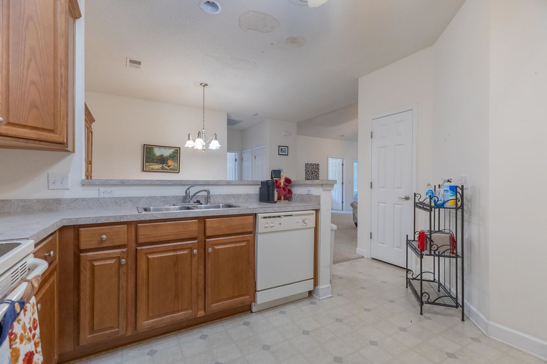 63 Hidden Oakes Ct.  Photo 8