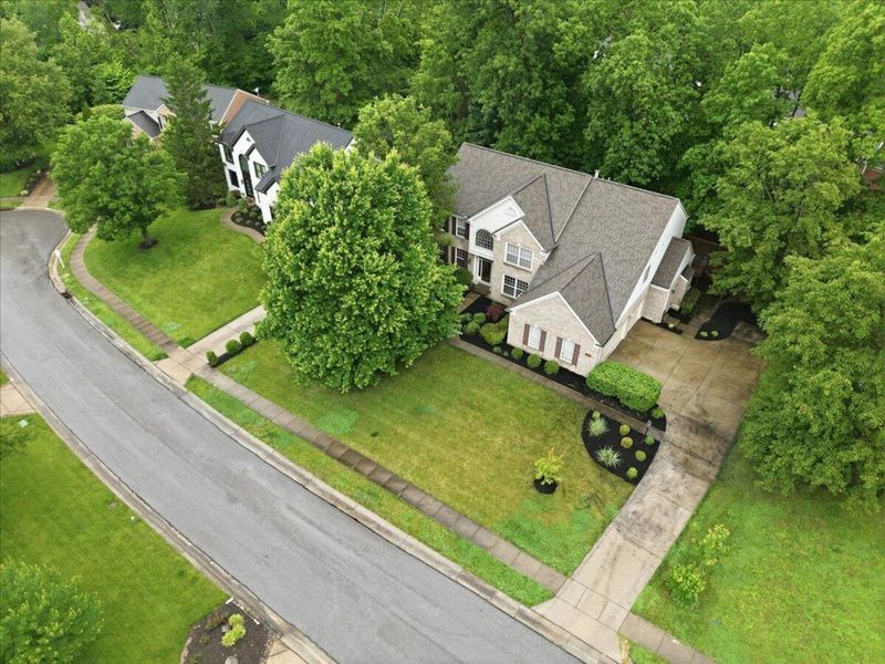 1114 Grindstone Court, Union, KY 41091 Photo 3