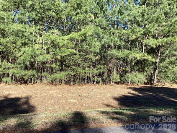 307 Twin Cove Drive , Connelly Springs, NC 28612