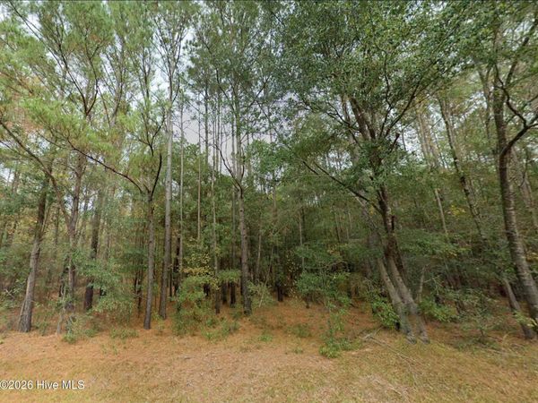 0 Shiloh Road, Willard, NC 28478