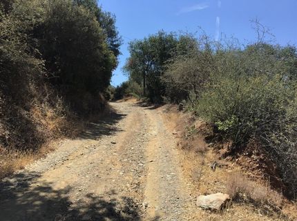 7018 Hwy 140, Midpines, CA 95345 Photo