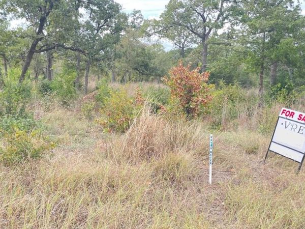 195 Tuck ST, Cedar Creek, TX 78612