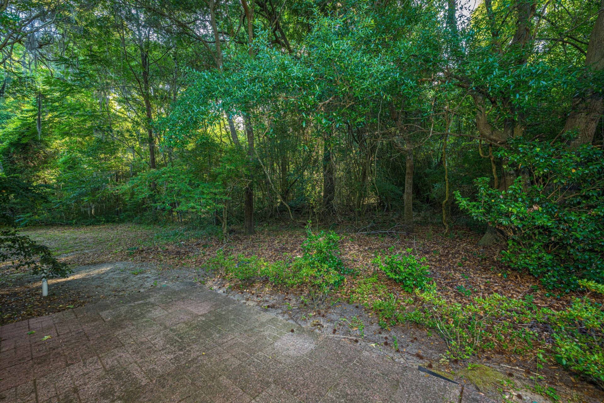 1126 Santa Elena Way Photo 38