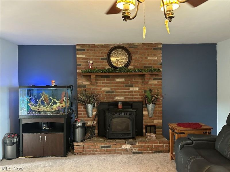 621 E Cross Street, Summerfield, OH 43788 Photo 21