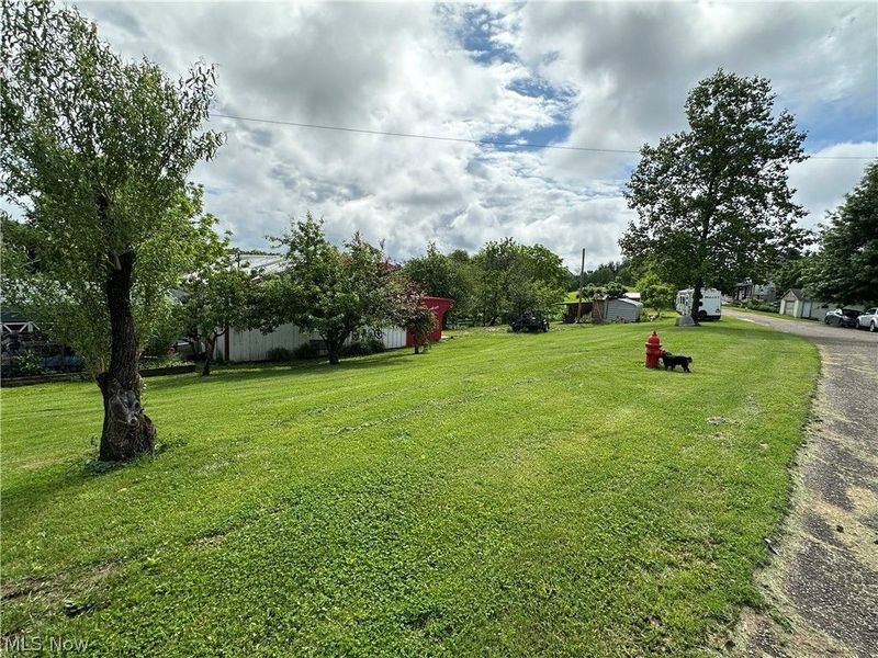 621 E Cross Street, Summerfield, OH 43788 Photo 36
