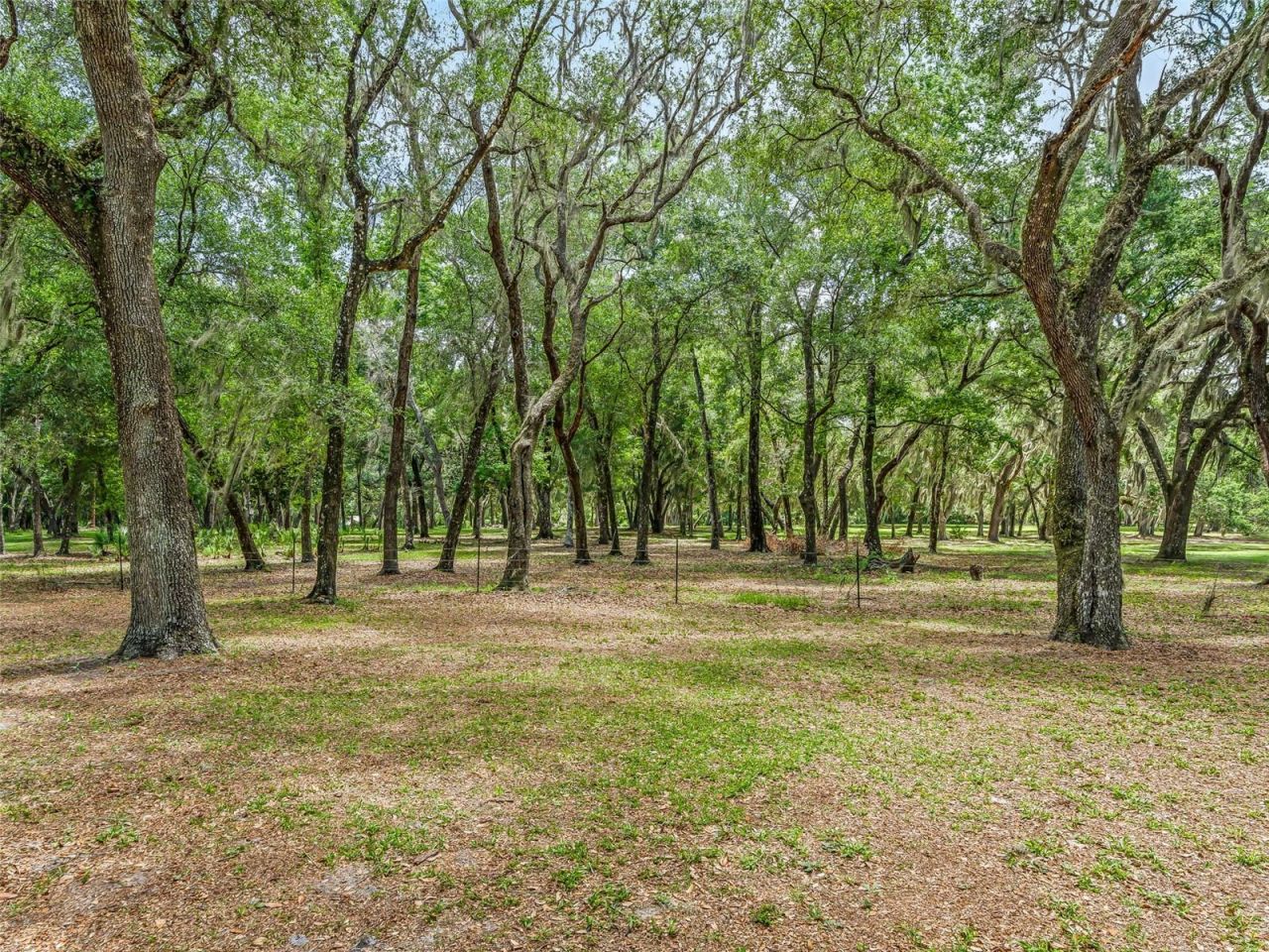 4801 County Road 575, Bushnell, FL 33513 Photo