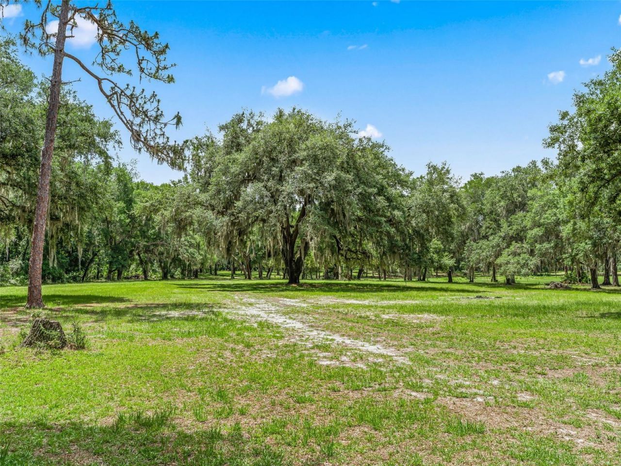 4801 County Road 575, Bushnell, FL 33513 Photo