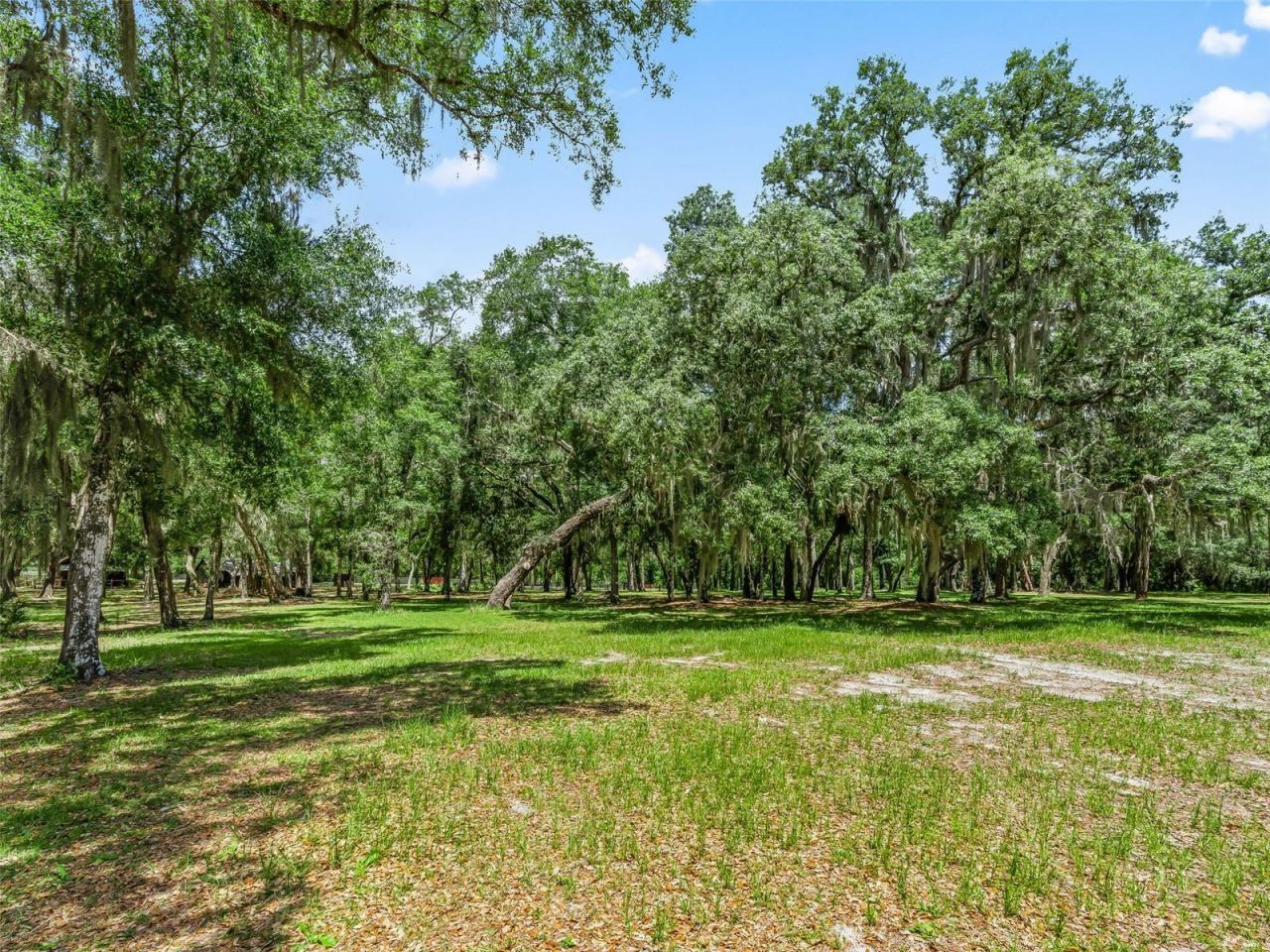4801 County Road 575, Bushnell, FL 33513 Photo