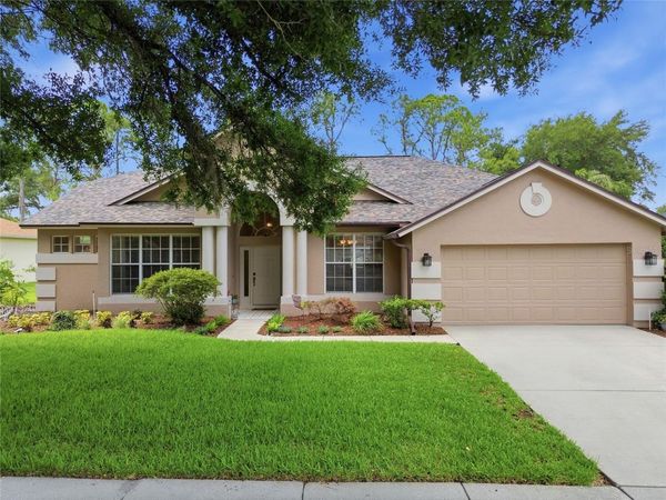 4941 WILLOW RIDGE TERRACE , VALRICO, FL 33596