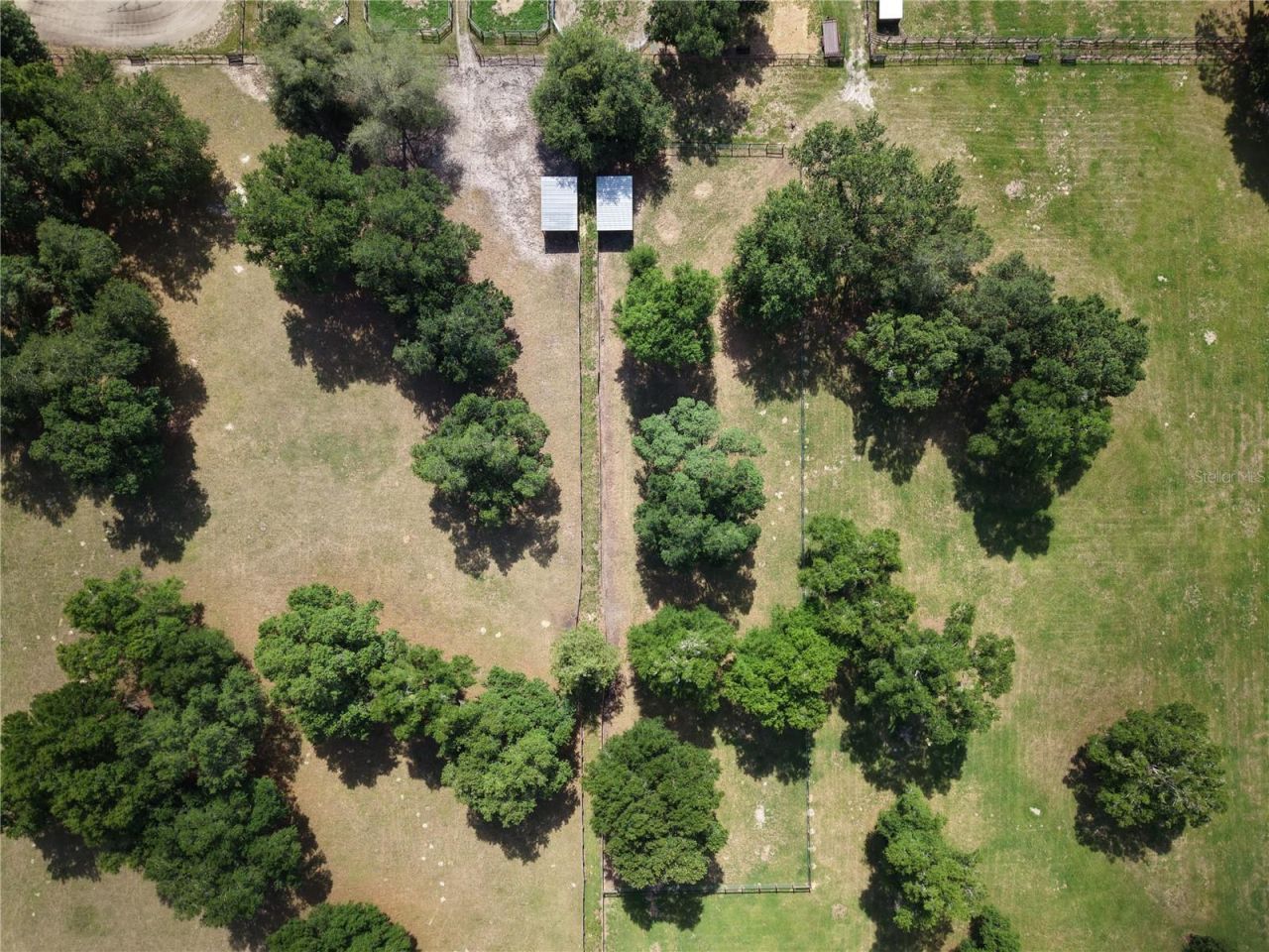 7191 NE 150th Avenue, Williston, FL 32696 Photo