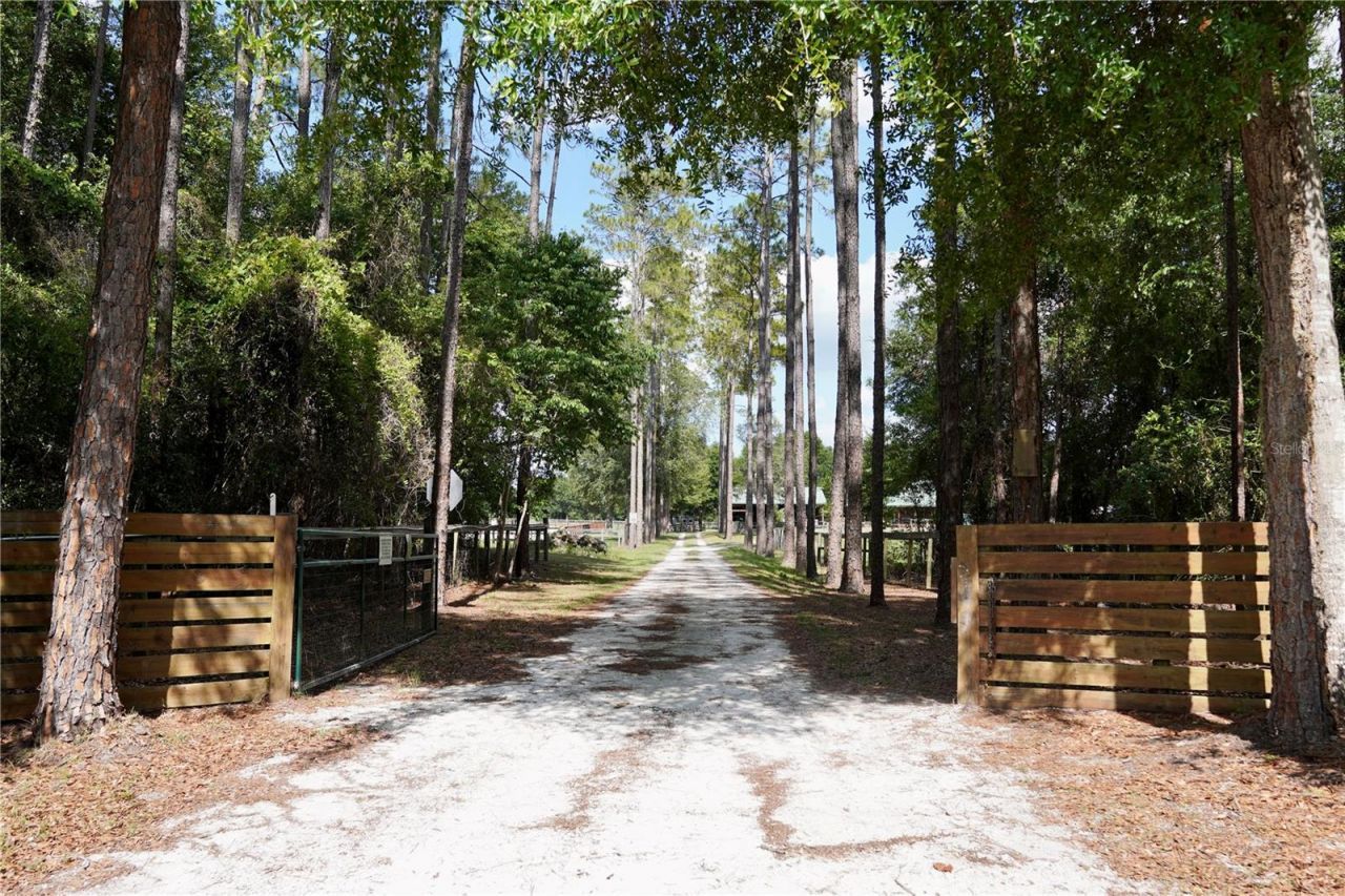 7191 NE 150th Avenue, Williston, FL 32696 Photo