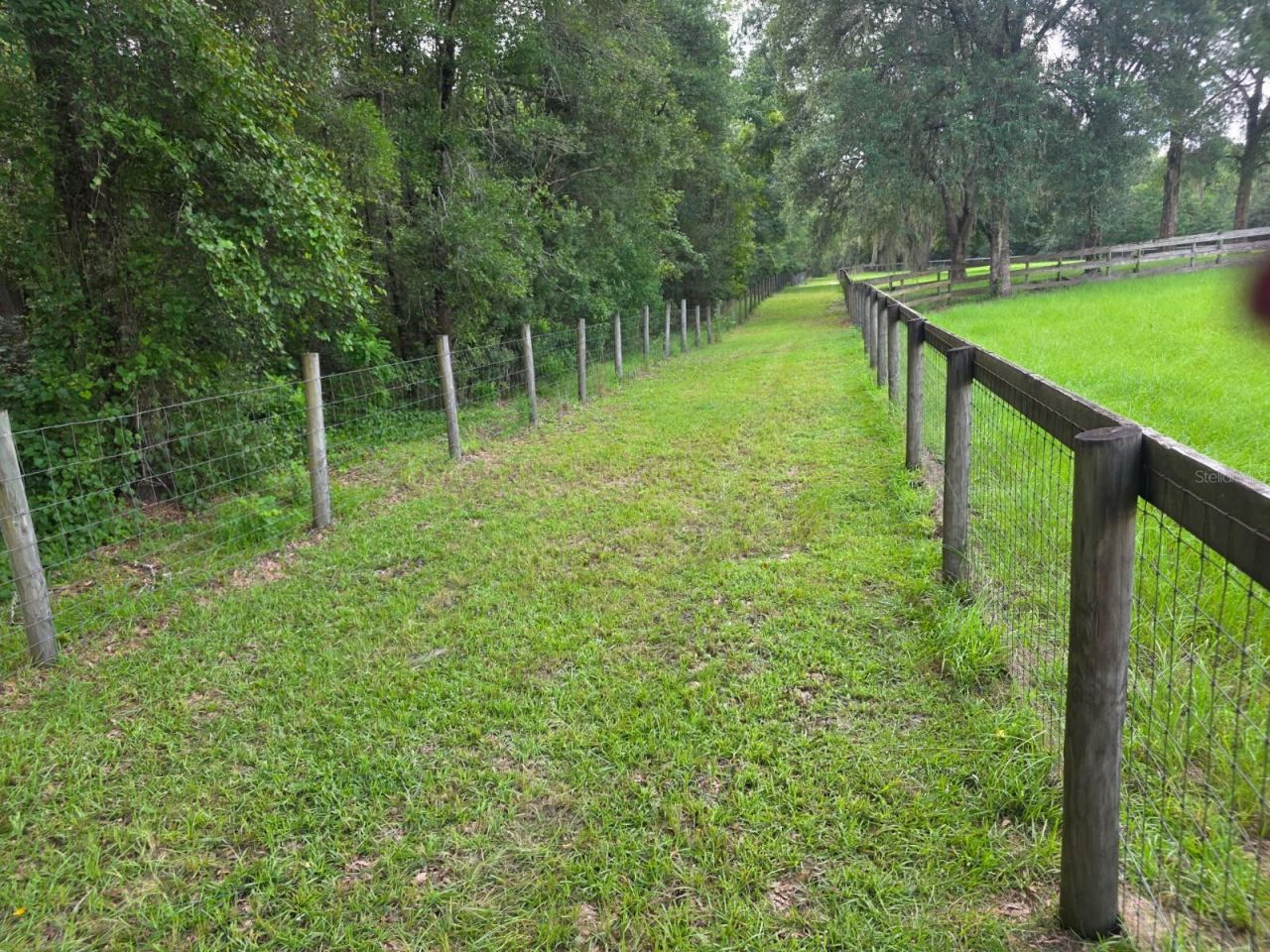 7191 NE 150th Avenue, Williston, FL 32696 Photo