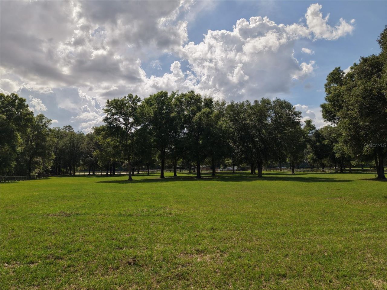 7191 NE 150th Avenue, Williston, FL 32696 Photo