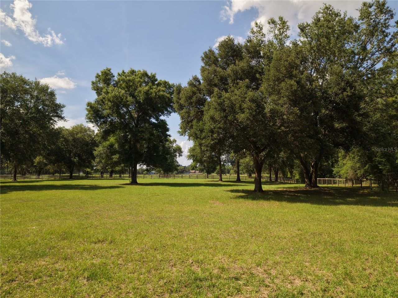 7191 NE 150th Avenue, Williston, FL 32696 Photo