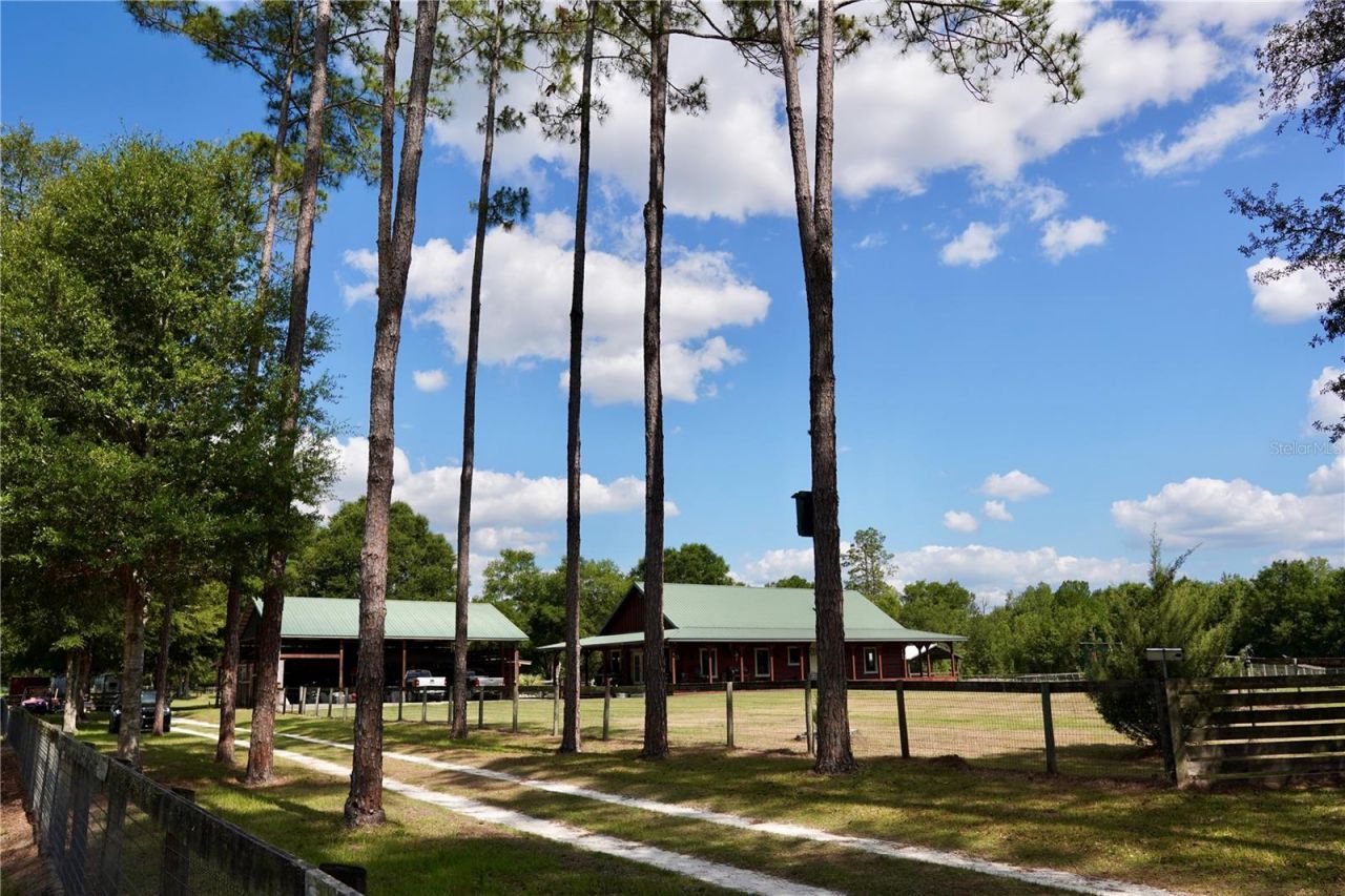 7191 NE 150th Avenue, Williston, FL 32696 Photo