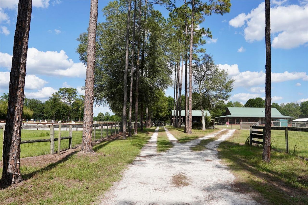7191 NE 150th Avenue, Williston, FL 32696 Photo