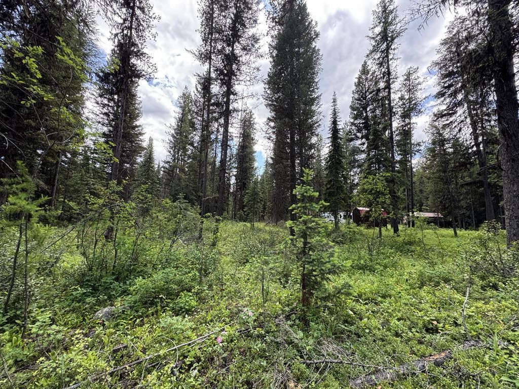 768 Deep Woods Trail , Polebridge, MT 59928 Main Photo