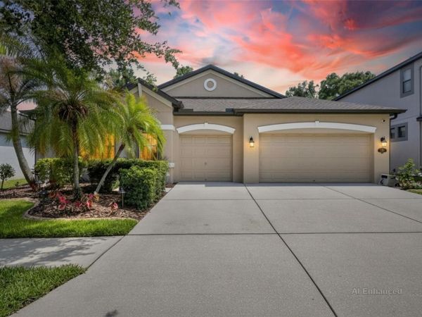 204 DAKOTA HILL DRIVE , SEFFNER, FL 33584