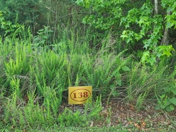Lot 138 E Shore Drive, Rockwood, TN 37854