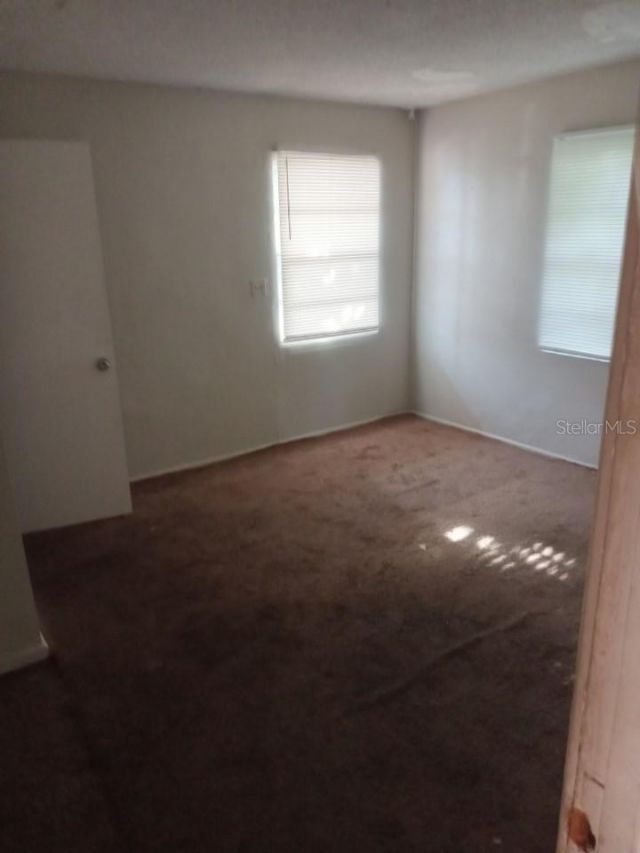 1130 29th Street S, Saint Petersburg, FL 33712 Photo