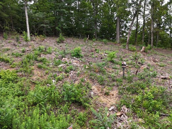 Lot 42 Bayside Boulevard, Bean Station, TN 37708