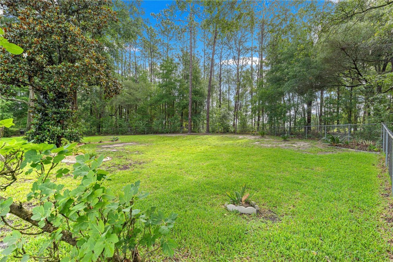 5968 SW 103 Loop , Ocala, FL 34476 Photo