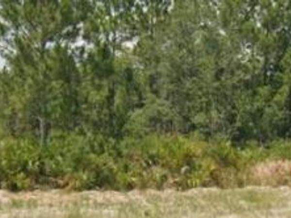 3011 W Dixon RD , AVON PARK, FL 33825