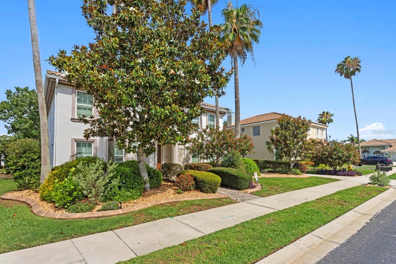 1107 Glenn Lane , Safety Harbor, FL 34695 Photo
