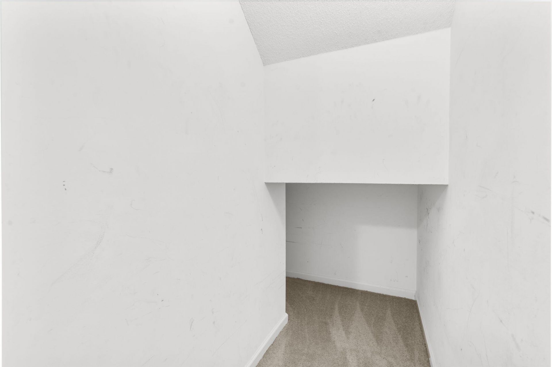 136 Macy Circle Photo 18