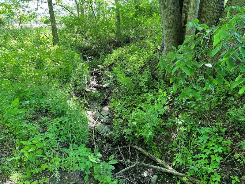Shaw Road, Spencer, OH 44275 Photo 2