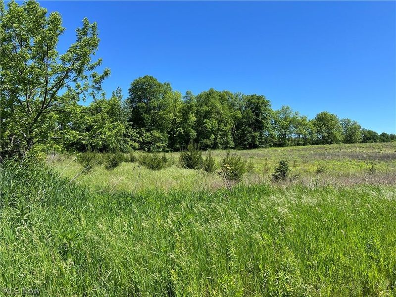 Shaw Road, Spencer, OH 44275 Photo 3