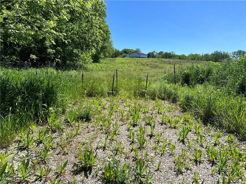 Shaw Road, Spencer, OH 44275 Photo 5
