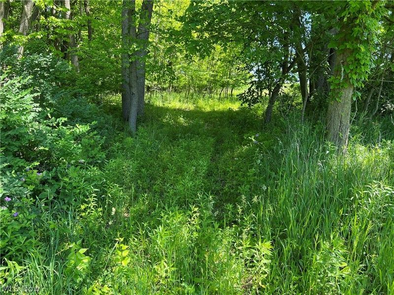 Shaw Road, Spencer, OH 44275 Photo 6