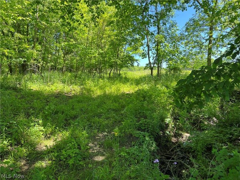 Shaw Road, Spencer, OH 44275 Photo 7
