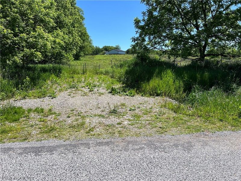 Shaw Road, Spencer, OH 44275 Photo 8