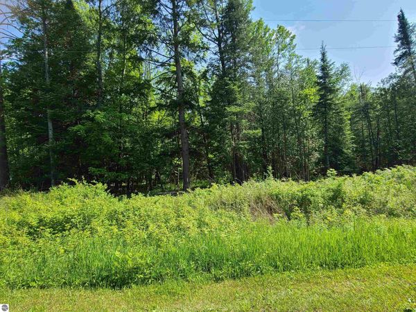 1281 Trask Lake Road W, Barton City, MI 48705