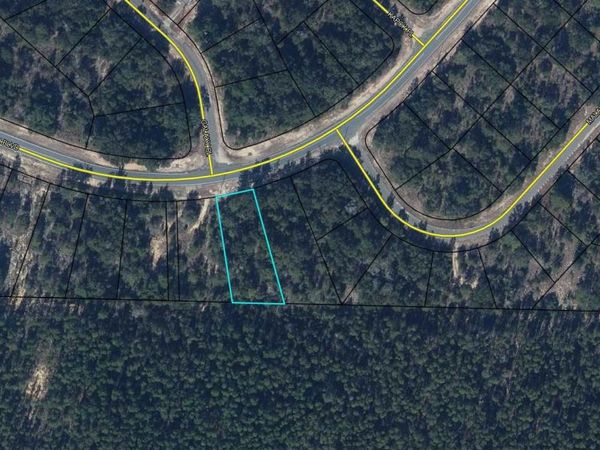 Lot 14 SHENANDOAH Boulevard, Chipley, FL 32428