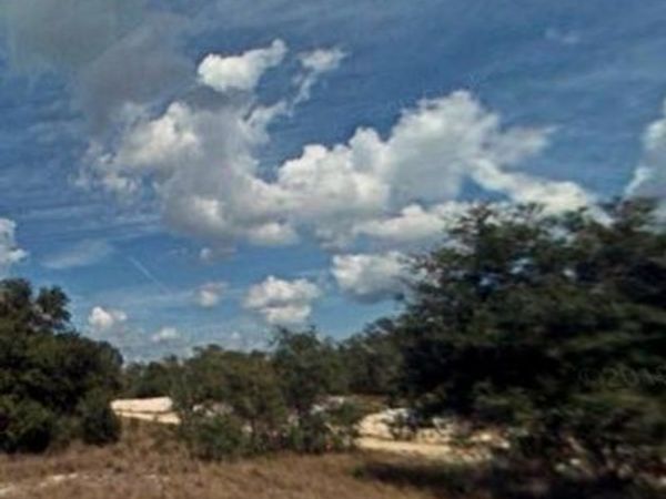 517 Dreamland AVE , LAKE PLACID, FL 33852