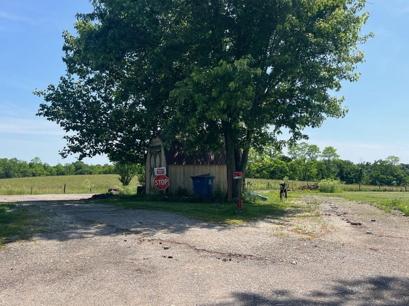 4165 Sherman Mount Zion Road, Dry Ridge, KY 41035 Photo 11