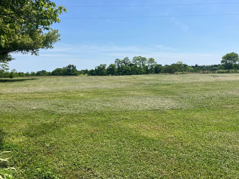 4165 Sherman Mount Zion Road, Dry Ridge, KY 41035 Photo 12